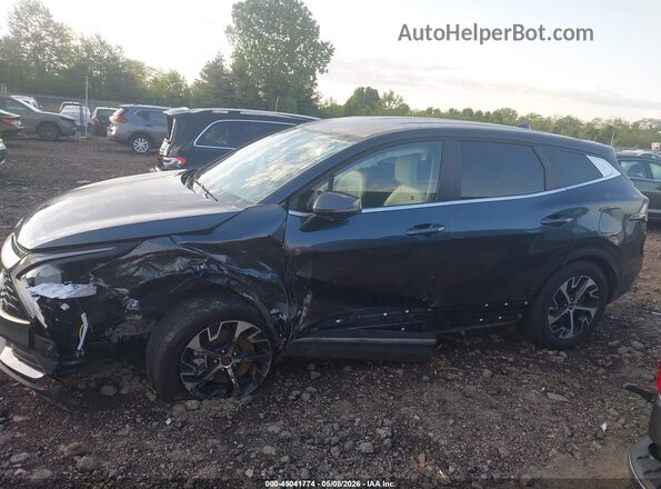 5XYK33DF9RG206229 2024 KIA SPORTAGE Черный Панорамный вид салона 360°