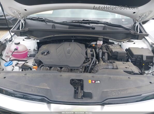 5XYK53DF8RG210833 2024 KIA SPORTAGE White 
