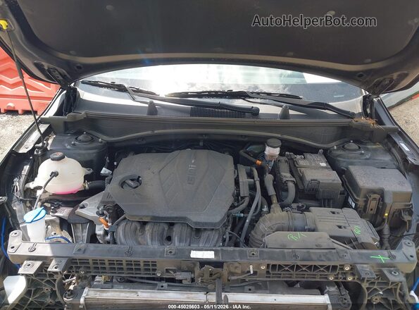 5XYK53DFXRG222451 2024 KIA SPORTAGE Black 
