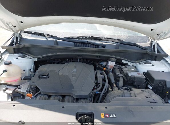 5XYK5CDF1RG229045 2024 KIA SPORTAGE Белый Вид сзади