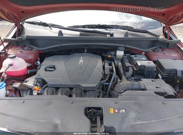 5XYK6CDF5SG265291 2025 KIA SPORTAGE Красный Вид сзади