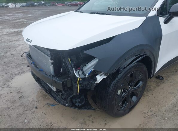 5XYK6CDFXSG238068 2025 KIA SPORTAGE Белый 