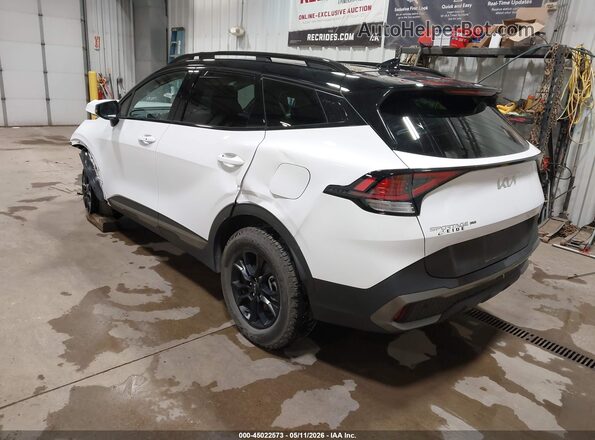 5XYK7CDF8RG188486 2024 KIA SPORTAGE Белый Задняя левая четверть