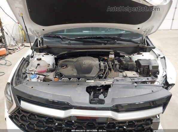 5XYK7CDF8RG188486 2024 KIA SPORTAGE Белый Вид сзади