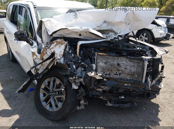 5XYP2DGC1PG366781 2023 KIA TELLURIDE White Widok z przodu