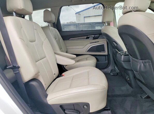 5XYP34HC1LG080709 2020 KIA TELLURIDE Белый Вид задней части салона