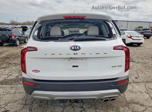 5XYP34HC1LG080709 2020 KIA TELLURIDE Белый Вид сзади
