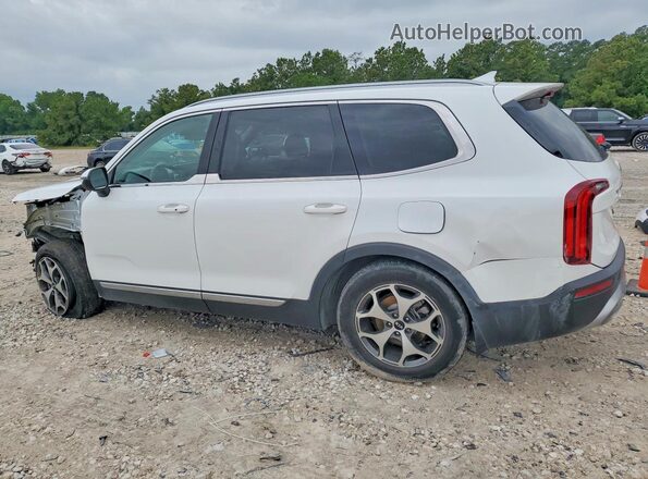 5XYP34HC5LG026913 2020 KIA TELLURIDE White Rear left
