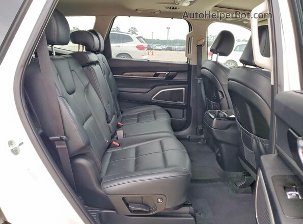 5XYP34HC5LG026913 2020 KIA TELLURIDE White Rear interior view