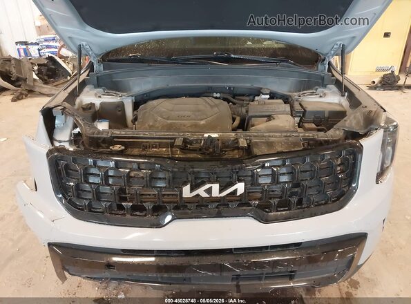 5XYP3DGC0RG481274 2024 KIA TELLURIDE Gray Вид ззаду