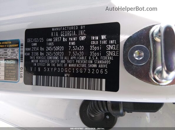 5XYP3DGC1SG732065 2025 KIA TELLURIDE White Vista del compartimento del motor