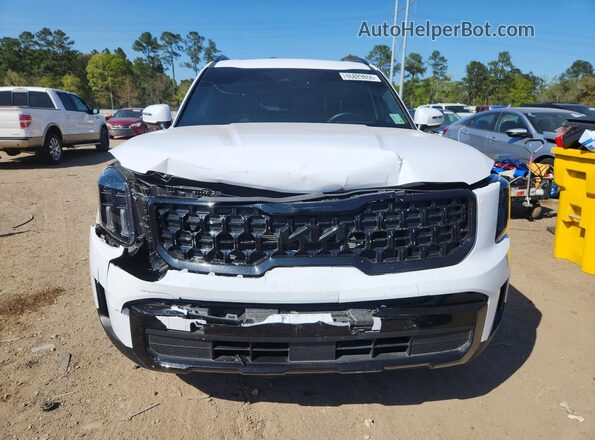 5XYP3DGC4SG603205 2025 KIA TELLURIDE White Widok z przodu