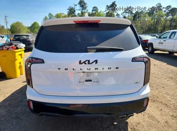 5XYP3DGC4SG603205 2025 KIA TELLURIDE White Widok z tyłu