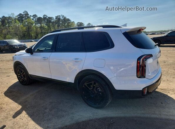 5XYP3DGC4SG603205 2025 KIA TELLURIDE White Tył lewy
