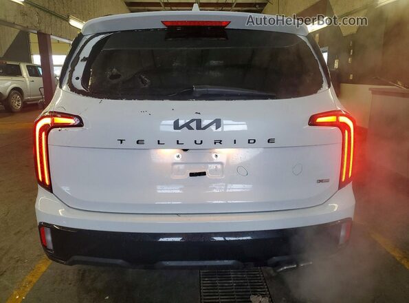 5XYP3DGC6SG666113 2025 KIA TELLURIDE White Հետևի տեսք