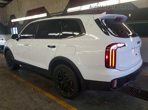 5XYP3DGC6SG666113 2025 KIA TELLURIDE White Հետևի ձախ