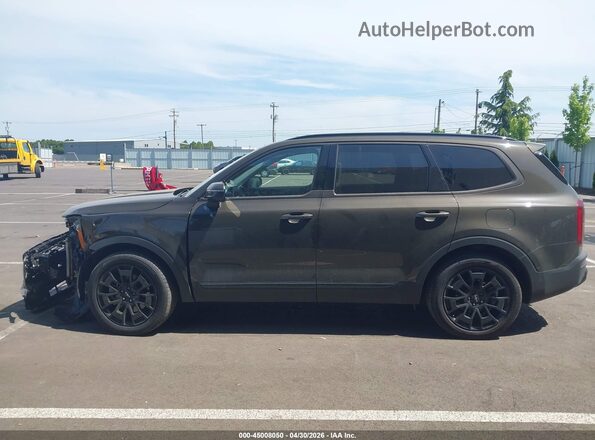 5XYP3DHC3NG252046 2022 KIA TELLURIDE Brown Սալոնի 360 աստիճան տեսք