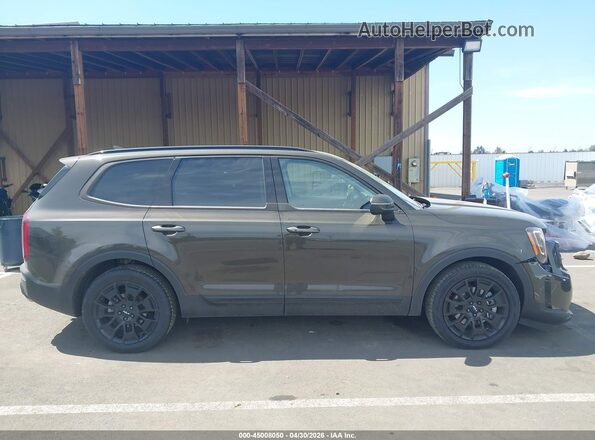 5XYP3DHC3NG252046 2022 KIA TELLURIDE Brown Սալոնի հետևի տեսք
