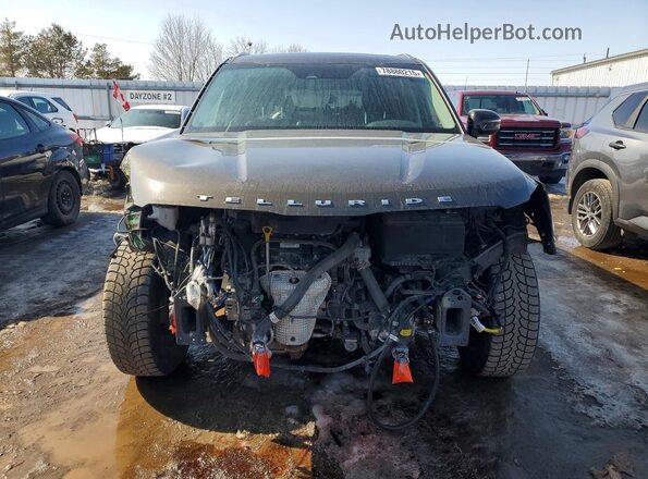 5XYP3DHCXNG299963 2022 KIA TELLURIDE Green Vista frontal