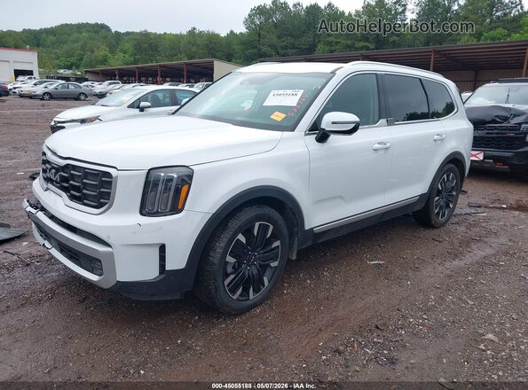 5XYP54GC9RG535164 2024 KIA TELLURIDE White Передня ліва чверть