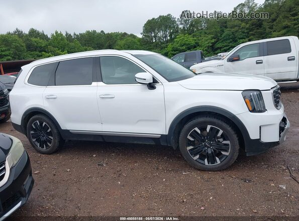5XYP54GC9RG535164 2024 KIA TELLURIDE White Вид задньої частини салону
