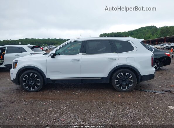 5XYP54GC9RG535164 2024 KIA TELLURIDE White Панорамний вид салону 360°