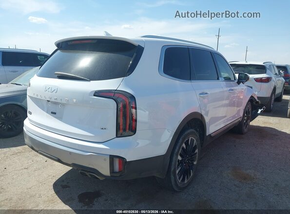 5XYP5DGC1RG428304 2024 KIA TELLURIDE White Tył prawy