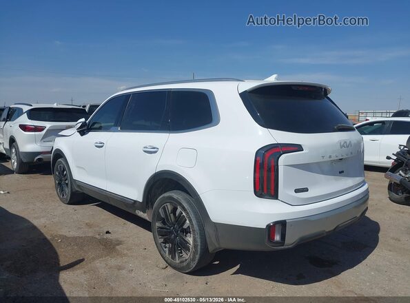 5XYP5DGC1RG428304 2024 KIA TELLURIDE White Tył lewy