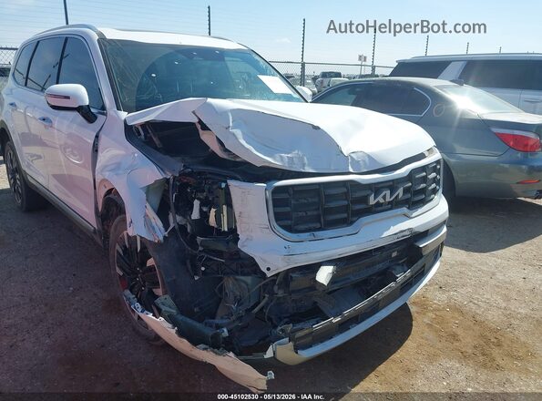 5XYP5DGC1RG428304 2024 KIA TELLURIDE White Widok z przodu