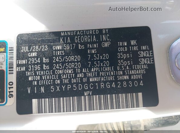 5XYP5DGC1RG428304 2024 KIA TELLURIDE White Widok komory silnika