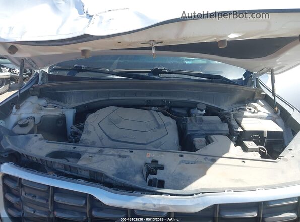 5XYP5DGC1RG428304 2024 KIA TELLURIDE White Widok z tyłu