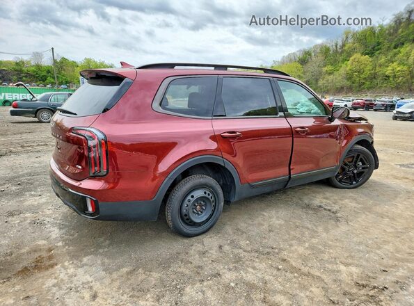 5XYP5DGC1RG539516 2024 KIA TELLURIDE Burgundy Tył prawy