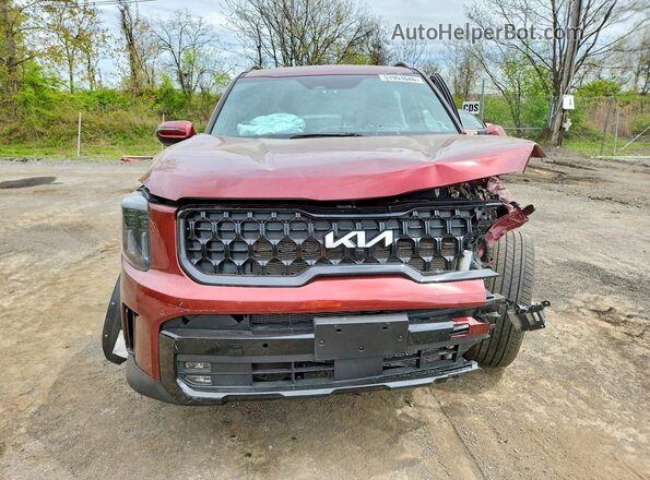 5XYP5DGC1RG539516 2024 KIA TELLURIDE Burgundy Widok z przodu