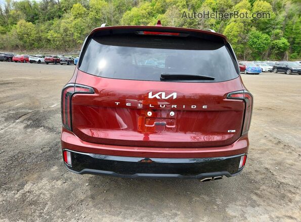 5XYP5DGC1RG539516 2024 KIA TELLURIDE Burgundy Widok z tyłu