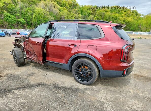 5XYP5DGC1RG539516 2024 KIA TELLURIDE Burgundy Tył lewy