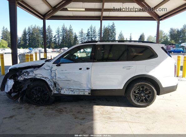 5XYP5DGC2RG459299 2024 KIA TELLURIDE White 