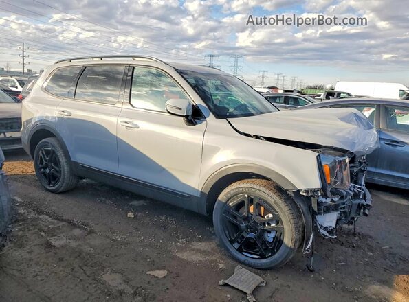 5XYP5DGC4SG656447 2025 KIA TELLURIDE Серый 