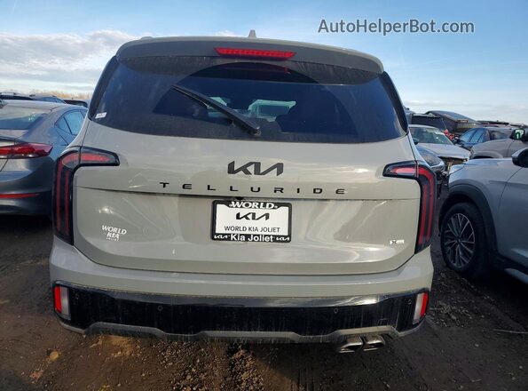 5XYP5DGC4SG656447 2025 KIA TELLURIDE Серый 