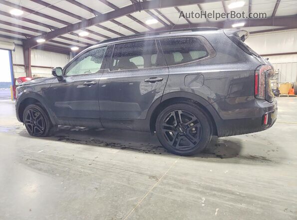 5XYP5DGC5RG530592 2024 KIA TELLURIDE Gray Tył lewy