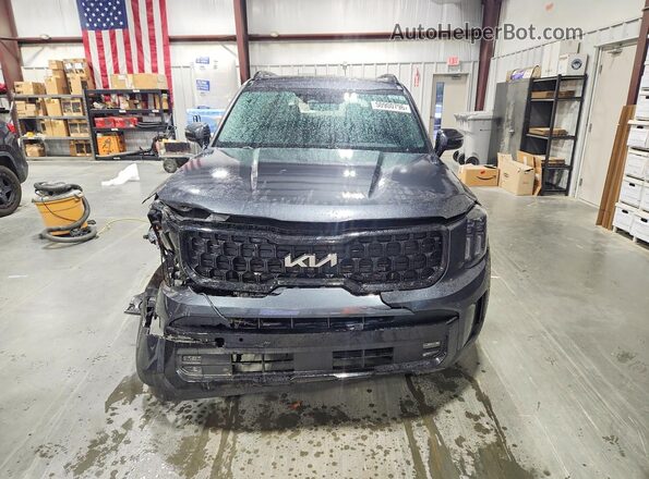 5XYP5DGC5RG530592 2024 KIA TELLURIDE Gray Widok z przodu