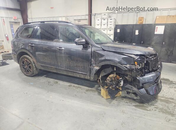 5XYP5DGC5RG530592 2024 KIA TELLURIDE Gray Przód prawy