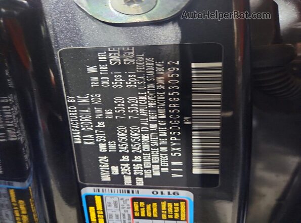 5XYP5DGC5RG530592 2024 KIA TELLURIDE Gray Widok naklejki z numerem VIN