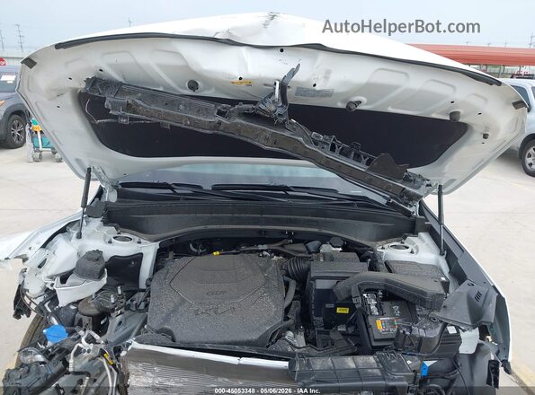5XYP5DGC5SG729700 2025 KIA TELLURIDE White Widok z tyłu