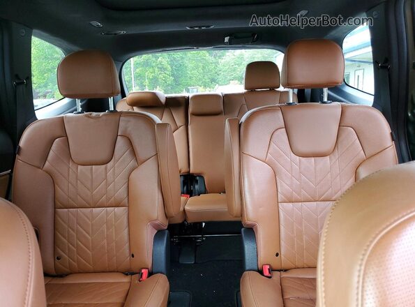 5XYP5DGC6RG479555 2024 KIA TELLURIDE Green Вид задніх сидінь