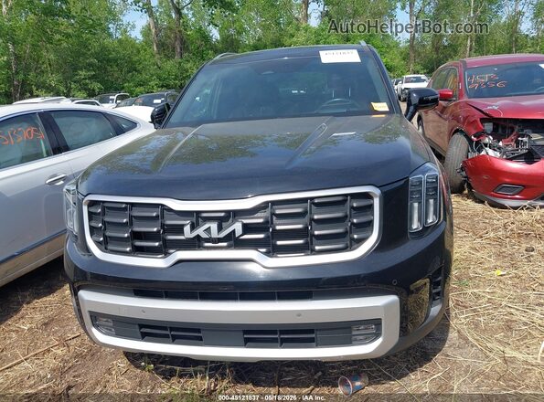5XYP5DGC8RG551873 2024 KIA TELLURIDE Черный Вид задней части салона