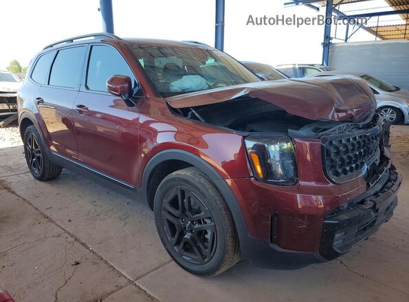 5XYP5DGC9RG546469 2024 KIA TELLURIDE Burgundy Front right