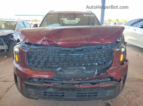 5XYP5DGC9RG546469 2024 KIA TELLURIDE Burgundy Front view