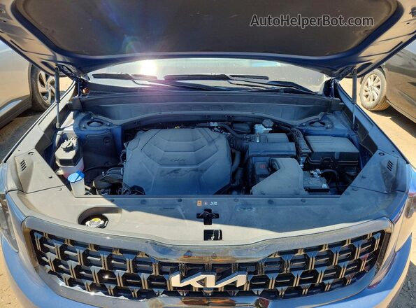 5XYP5DGCXRG433615 2024 KIA TELLURIDE Синий 