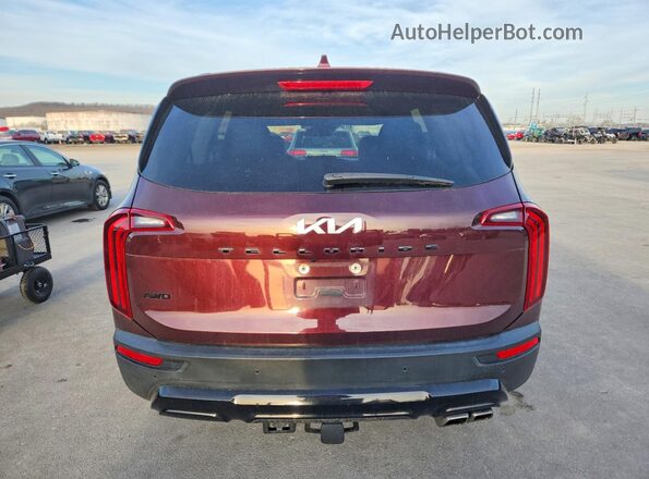 5XYP5DHC5NG303427 2022 KIA TELLURIDE Burgundy Widok z tyłu