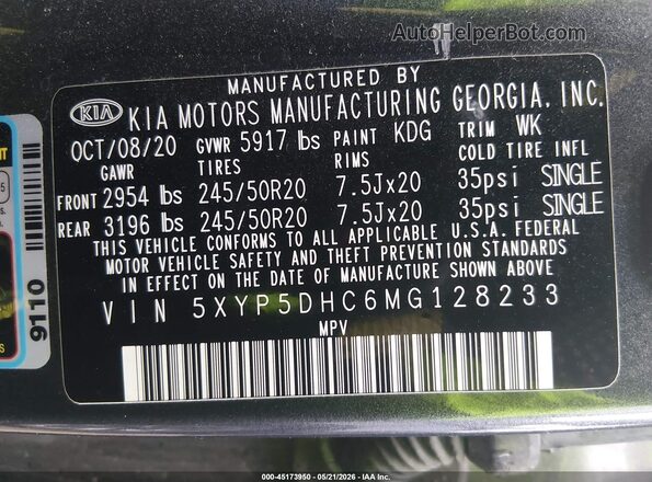 5XYP5DHC6MG128233 2021 KIA TELLURIDE Gray Շարժիչի բաժամունքի տեսք
